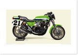 1982 KAWASAKI KZ1000S1 - Team Kawasaki / Kerker Superbike