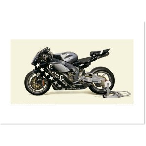Photo: 2004 HONDA CBR1000RRW - Sevenstars Honda 7